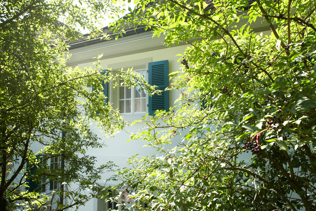 Chateau Attisholz Riedholz Habitación foto